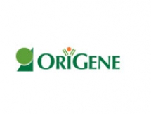 ORIGENE